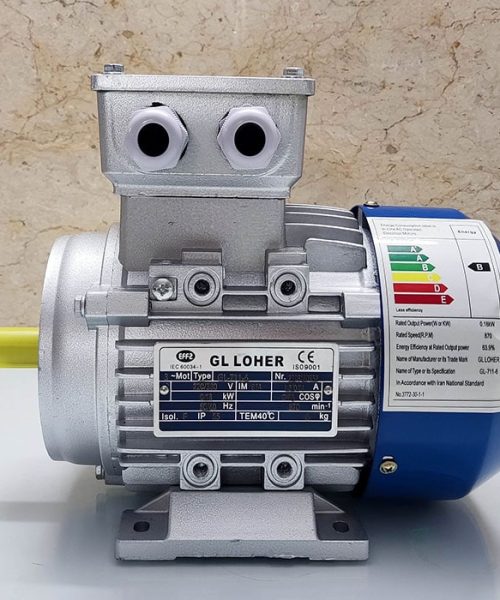 الکتروموتور loher